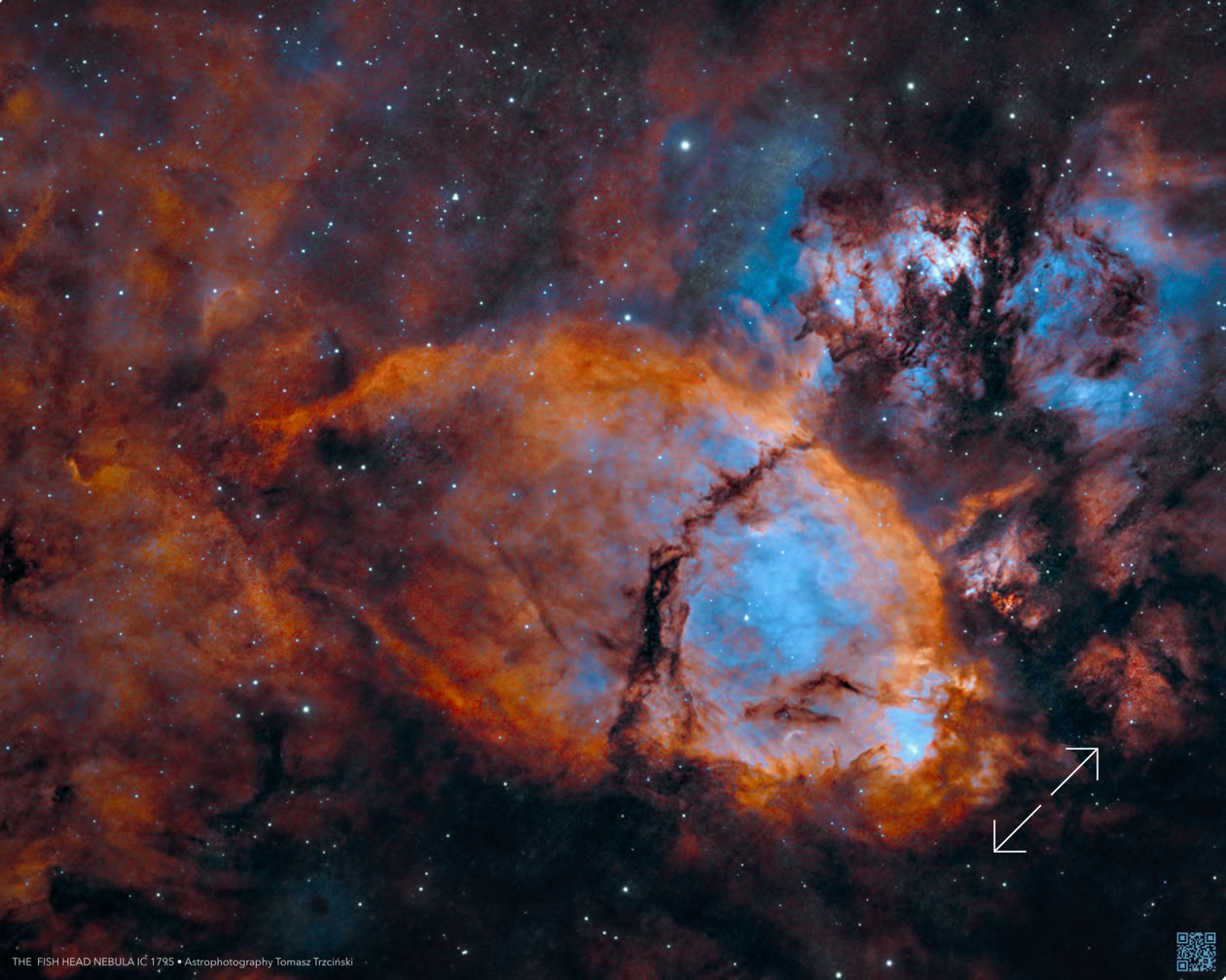 IC 1795 The Fish Head Nebula - Mgławica „Głowa ryby” IC 1795