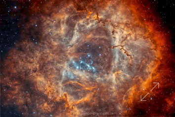 NGC 2244 Mgławica Rozeta - Rosetta Nebula  - Caldwell 50