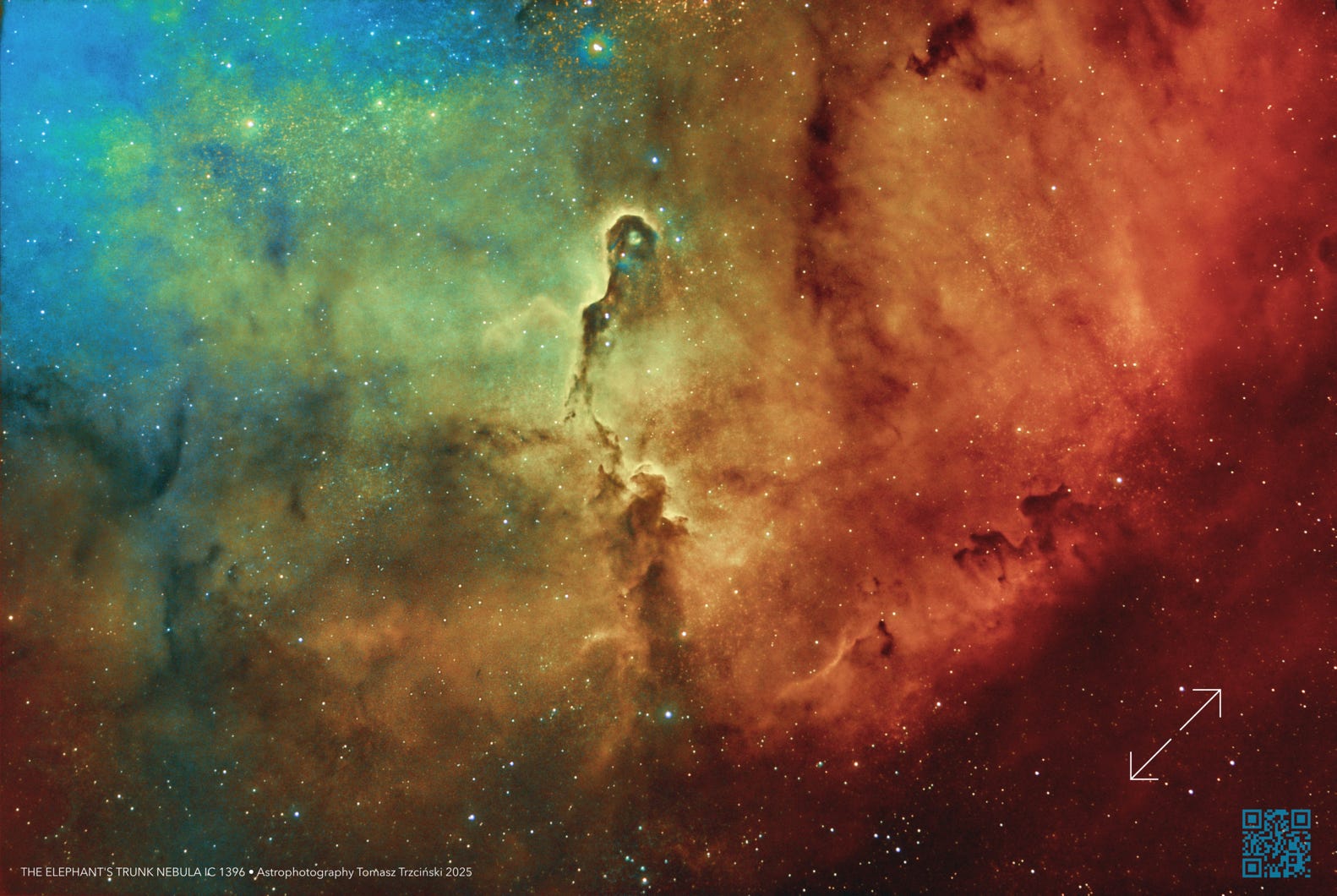 IC 1396 Elephant's Trunk Nebula